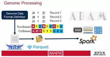 大數(shù)據(jù)驅(qū)動(dòng)醫(yī)療軟件開(kāi)發(fā) 應(yīng)對(duì)醫(yī)療衛(wèi)生成本激增的智慧之道